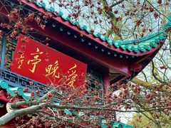 -岳麓山风景名胜区