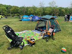 -上海海湾国家森林公园