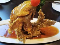 -老牌坊鲁菜名店(聊城美食岛店)