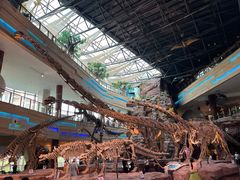 -安徽省地质博物馆