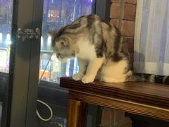 -月迷津渡(吾悦国际店)