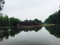 -微山湖红荷湿地景区