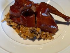 乳鸽-三号黄浦会Canton Table