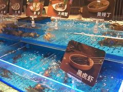 -海底捞火锅(长宁路龙之梦店)