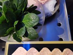 -王家渡火锅店(棕榈泉店)