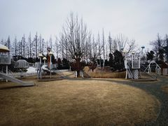 -前小桔亲子创意农场·草莓采摘·露营烧烤