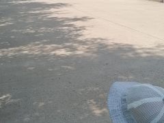 -哈尔滨北方森林动物园
