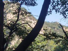 -大岭沟猕猴桃谷风景区