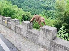 -九华山友谊土菜馆 小资餐厅