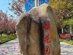 -高东镇樱花园