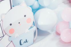 -圣塔拉 宝宝宴生日Party气球派对一站式高端策划