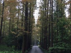-上海怡沁园度假酒店