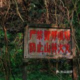 如果还挤的进太子湾📸