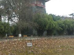 -四川大学(华西校区)