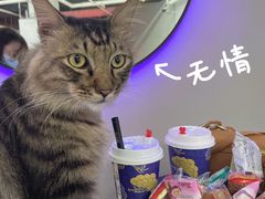 -极木²邸 人与宠物·互动社区