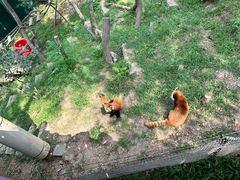 -大连森林动物园