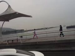 -新金盛·海鲜酒楼(盐田店)