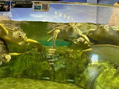-福州罗源湾海洋世界旅游区
