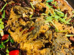 -老板恋上鱼(荣盛广场店)
