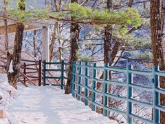 -老君山风景名胜区