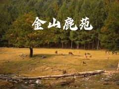 -汤旺河林海奇石景区