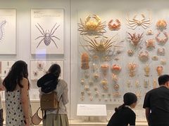 -四川大学博物馆
