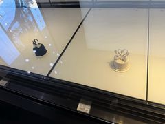 -BLACKSWAN黑天鹅(环球店)