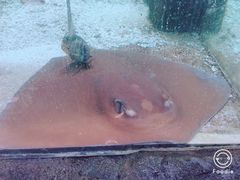 -鸿通城购物中心