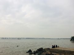 -宝安西湾红树林湿地公园