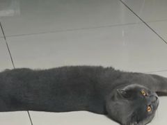 -古乐牛香·鲜牛肉牛杂火锅(千灯店)