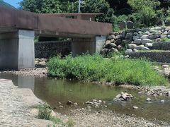 -北仑森林植物园