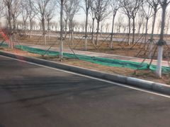 -天津妈祖文化园