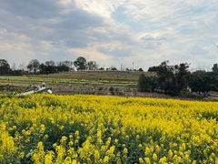 -三圣花乡旅游区