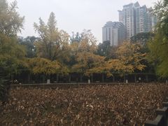 -四川大学(华西校区)