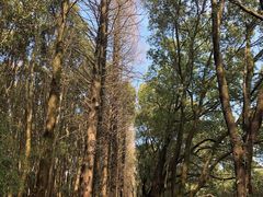 -同里国家湿地公园