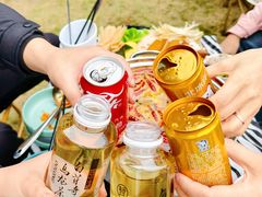 -中国天府农业博览园