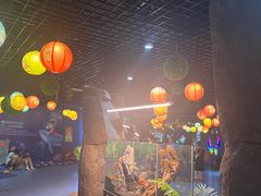 -重庆欢乐海底世界