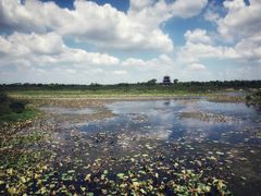 -上海海湾国家森林公园