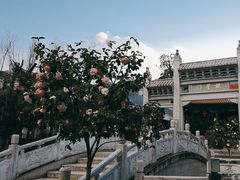 -大理文庙(大理古城)