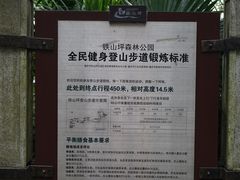 -铁山坪森林公园