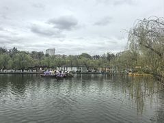 -翠湖公园
