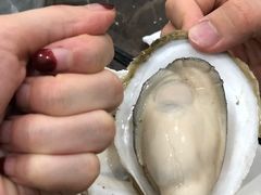 -蚝专家(北滘店)