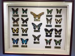 -上海昆虫博物馆