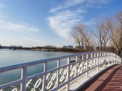 -大兴滨河森林公园