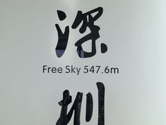 -平安金融中心云际观光层