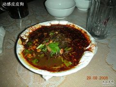 DSCN2858-老钟家烤羊排·敦伊阁清真餐厅胡羊焖饼