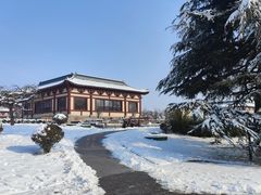 -洛阳古墓博物馆