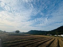 -风云岭森林公园