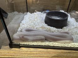 -Zoolung Zoolung动物主题公园(海信广场店)