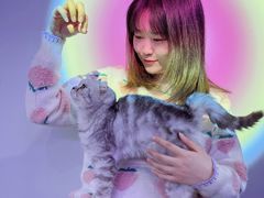 -极木²邸 人与宠物·互动社区